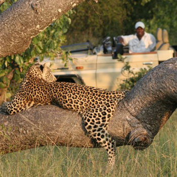 accommodation-services2